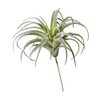 Serene Spaces Living Faux Frosted Tillandsia, Artificial Air Plant for