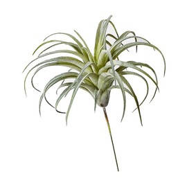 Serene Spaces Living Faux Frosted Tillandsia, Artificial Air Plant for Floral Arrangement, Set of 2