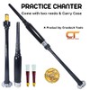 Scottish Highland BagPipe Practice Chanter, Carrying Case & Reeds by