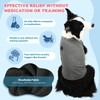 Jaynuier Dog Anxiety Relief Calming Vest, Vet Visits and Separation