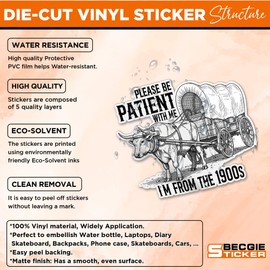 Please Be Patient with Me Im from The 1900s Sticker Vintage Retro Millennial Gen X Decal Waterproof Die Cut Vinyl & Transparent DTF Decal for Water Bottle Laptop Car Helmet Gifts for Her Him