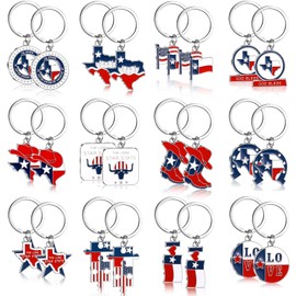 Landical 24 Pcs Texas Metal Keychain Texas Gifts and Souvenirs Lone Star State Map Shaped Texas Keychain God Bless Texas Souvenirs