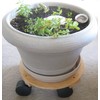 Broad Brimmed Top Hat Caster Socket for 7/16-inch Caster Stem.