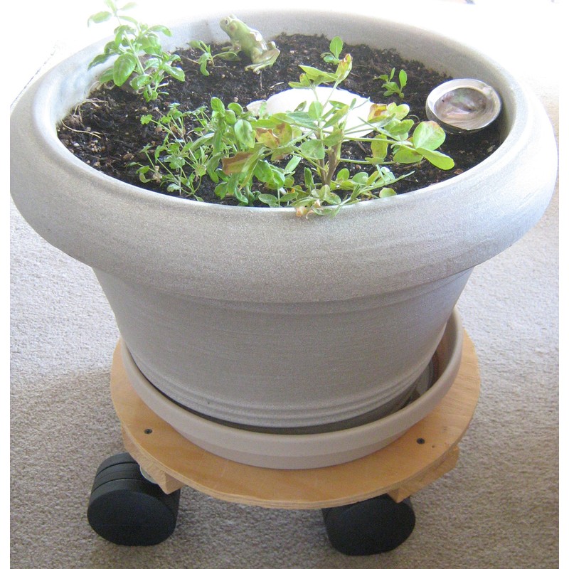 Broad Brimmed Top Hat Caster Socket for 7/16-inch Caster Stem.