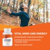 Vimergy Curcumin with Turmeric Capsules, 30 Servings – Curcumin &