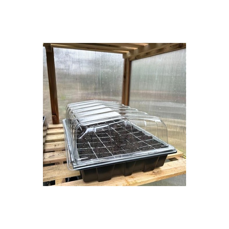 Bramley & Sage 50-Cell Cavity Tray Inserts Black (Set of