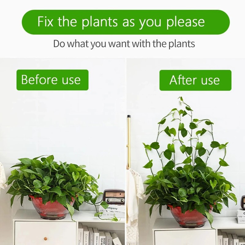 Plant Climbing Wall Fixture Clips – Self Adhesive Plant Vine