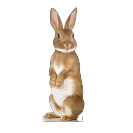 Cardboard People Bunny Rabbit Life Size Cardboard Cutout Standup