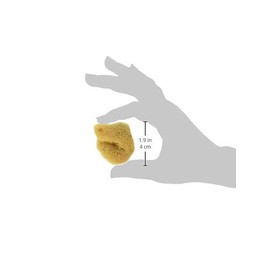 ROYAL BRUSH MFG. R2001P 1.5.to 2" Small Sea Silk Sponge Pkaged, Natural