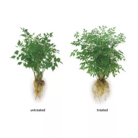 SoilMoist 3oz Package of Soil Moist Mycorrhizal Transplant Formula Treats 2 Plants 1 Tree