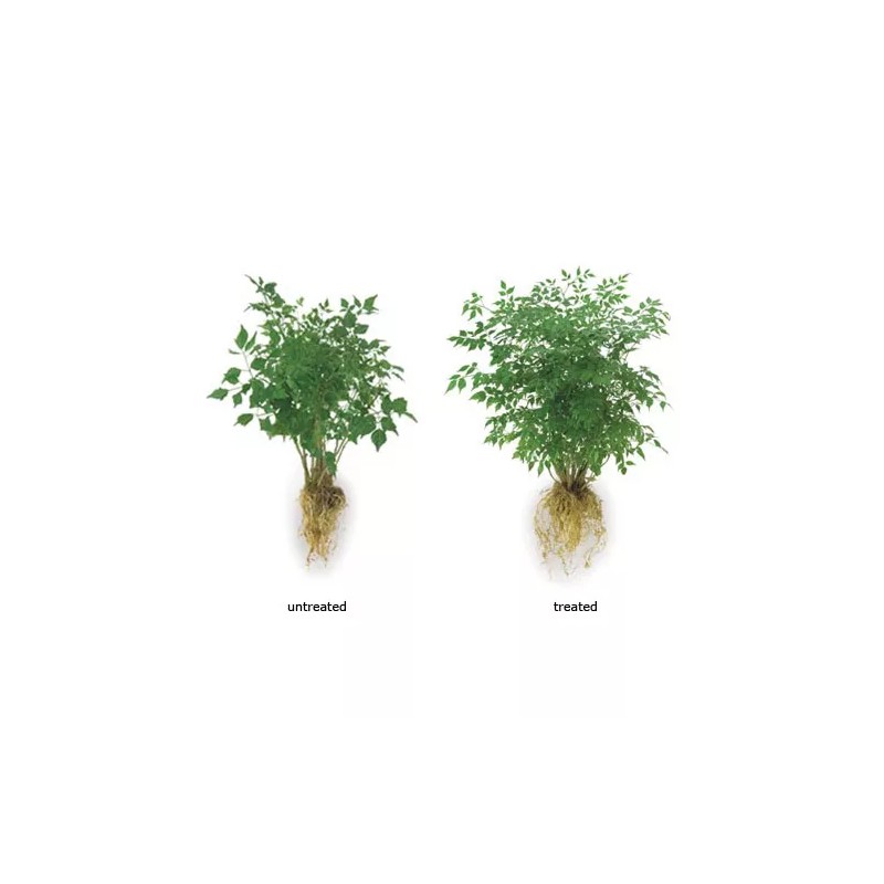 SoilMoist 3oz Package of Soil Moist Mycorrhizal Transplant Formula Treats