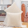 Madizz Pack of 2 Super Soft Velvet Decorative Cushion Covers