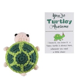 DOOCECIY Emotional Support Plush Turtle Gifts, Positive Crochet Animals Gift for Birthday Party Decoration