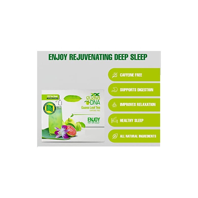 MATCHA DNA Guava Leaf Tea - 120 Individually Wrapped Teabags