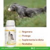 Suplemento Omega 3 Y 6 Para Perros Ruiland® - 60