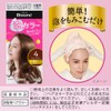 Kao Blaune Bubble Hair Color For Gray Hair - 1AH