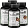 Earthville Fabiflora Pro Black Ginger Moro Orange Cissus Effectiveness 120