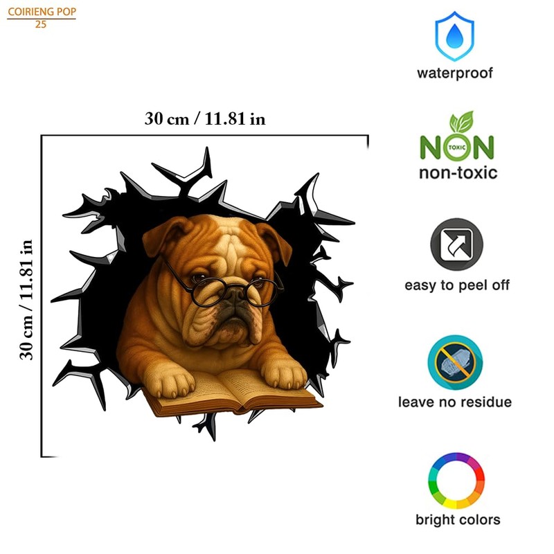 Bulldog Reading Dog Decal – 11.81 x 11.81 inch 3D