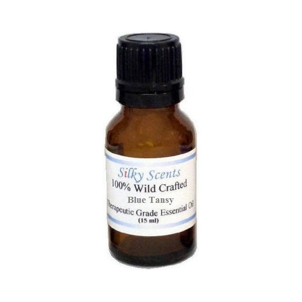 Blue Tansy Wild Crafted Essential Oil (Tanacetum Annum) 100% Pure and Natural - 15 ML