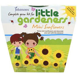 Mr Fothergills 16555 Johnsons Little Gardeners Mini Sunflowers Grow Kit - Multi-Colour