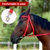 Adjustable Bitless Bridles for Horses, Hobby Horse Bridle,Horse Headstall, Draft