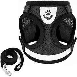 Arnés con correa para Perro Chico o Gato, diseño cómodo y resistente, Negro, XL