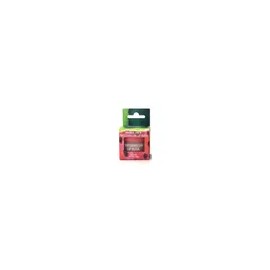 트레이더조 워터멜론 립 마스크 20g Watermelon Lip Mask 20g