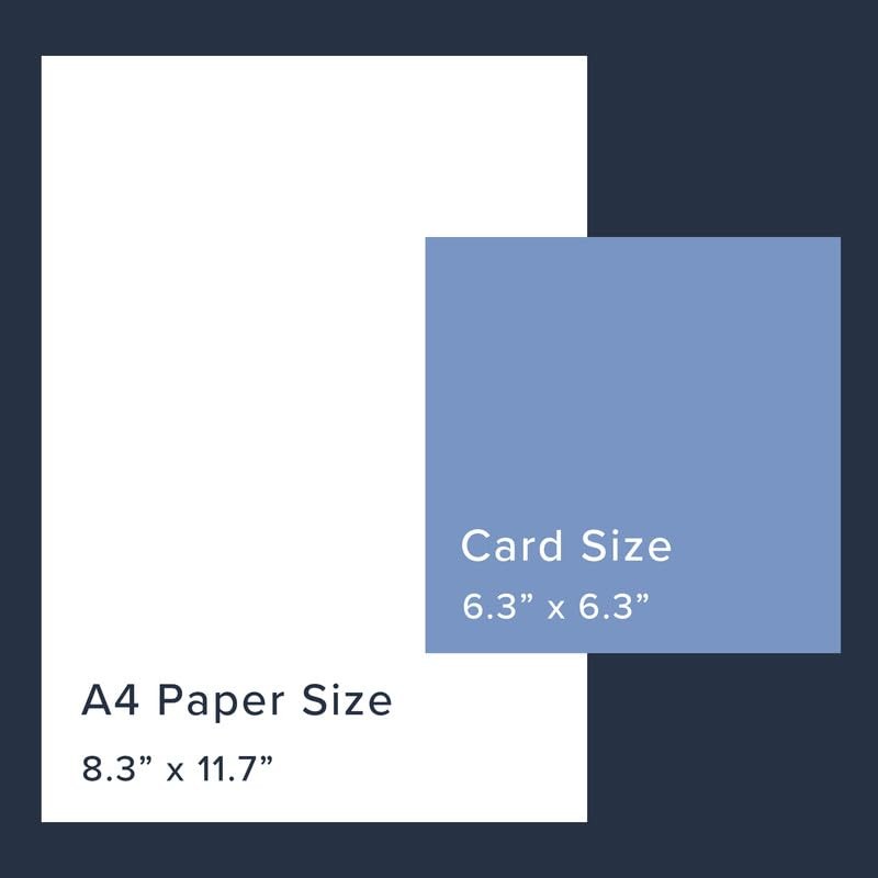 Noel Tatt Cool Son Birthday Card - Dachshund in Sand