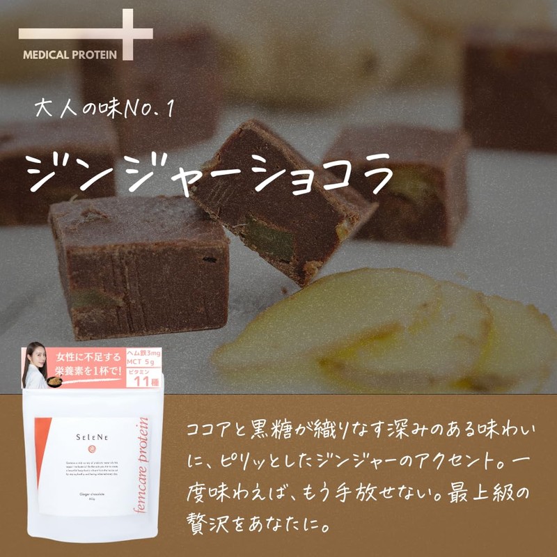 メディカルフェムテイン フェムテイン ソイプロテイン ジンジャーショコラ 国内製造 無添加 櫻井夏子 医師 杉山産婦人科 500g