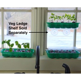 Window Garden - Sage Herb Kit - Grow Your Own Food. Germinate Seeds on Your Windowsill Then Move to a Patio Planter or Vegetable Patch. Mini Greenhouse System Make’s it Foolproof, Easy and Fun.