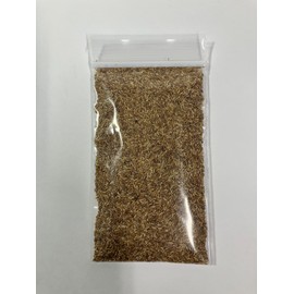 Link Zenith Zoysia 12,000+ Grass Seeds for a Healthy, Low-Maintenanc