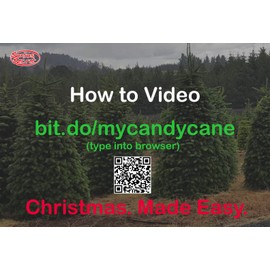 Santas Secret New 2019 Candy - Automatic Christmas Tree Watering System Waterer | Made in USA