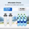 Purewell PF-4 Ceramic Purification Elements, Replacement Filters for ProOne® and