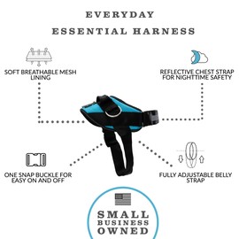 ShawnCo Essential Dog Harness, No-Pull Pet Vest with 3 Leash Clips, No Choke, Reflective, Adjustable and Padded, for Easy Walking and Training for Small, Medium and Large Dogs (Oceanic Blue, L)