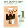 CYGYINT 50Pcs Brown Gift Bags with Clear Window 4.7''x2.4''x6.2'' Variety