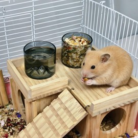 Acsist 2 Pcs Hamster Feeding & Water Bowls, Glass Hamster Water Bottle Rat Food Bowl Anti Turning Small Animal Bowls for Gerbils Mice Rats (Grey)