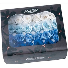 Earth Farms Preserved bibian・kara-aso-to (24 Pack) do002374 – 660