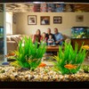 BOLYEE 2 Pack Aquarium Decor Plastic Plants, Large Artificial Fish