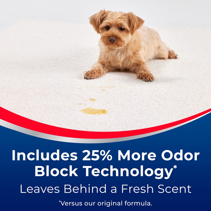 Woolite® Advantage INSTAclean™ Pet Stain Remover - 2 Pack, 3322