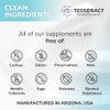 TESSERACT ProButyrate suplemento con liberación sostenida - 120 cápsulas vegetarianas