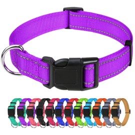 TagME Reflective Nylon Dog Collars, Adjustable Classic Dog Collar with Quick Release Buckle for Large Dogs, Purple, 1.0" Width