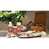 MRS. MEYER'S CLEAN DAY Multi-Surface Everyday Cleaner, Limited Edition Gingerbread