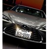 Mulixis Leopard Bedazzled License Plate Frames for Women Diamond License