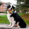 LuckyOpt Dog Treat Ball, Colorful Fleece Dog Snuffle Ball for