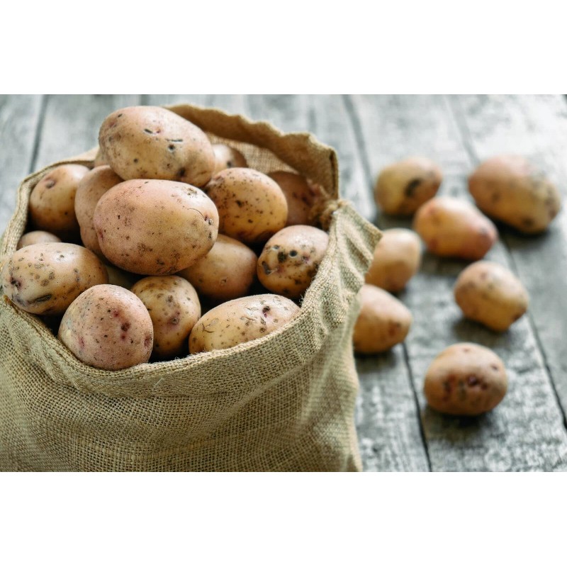 1 22x36 Burlap Bags, Burlap Sacks, Potato Sack Race Bags,