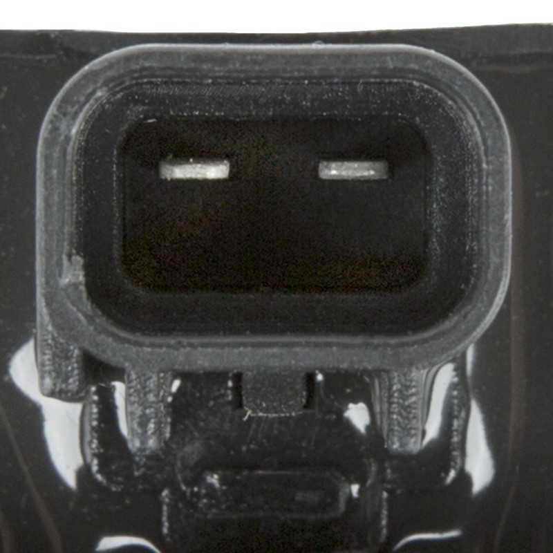 Delphi GN10387 Plug Top Ignition Coil