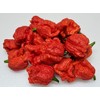 Dragons Breath 5+ Dried Peppers