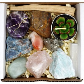 DANCING BEAR Taurus Zodiac Healing Crystals Gift Set (14 Pc): 9 Stones, 18K Gold-Plated Constellation Necklace, Meteorite, Succulent Candle, Palo Santo Smudge Stick & Info Guide, Made in The USA