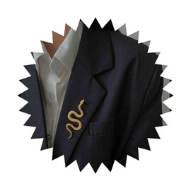 Inilbran Boho Snake Brooch Pin Gold Snake Serpent Brooch Vintage Snake Brooch Large Serpent Badge Pin Clothing Hat Bag Accessories Jewelry for Women and Girls