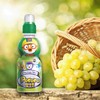 Paldo Fun & Yum Pororo Kids Green Grape Flavor Drink,